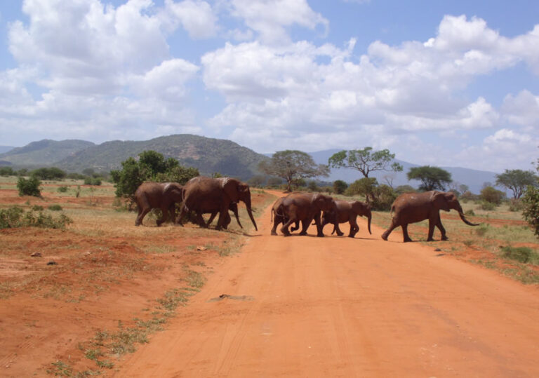 3 days tsavo east west national park