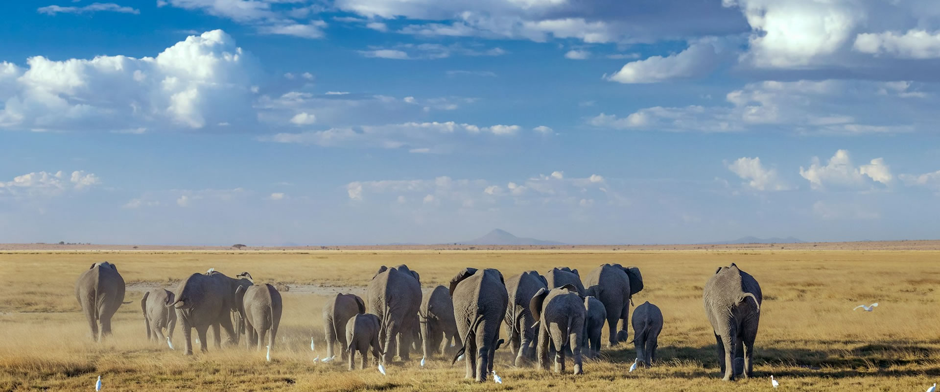 You are currently viewing Amboseli National Park